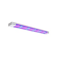 Фитолампа - «globural.ru» - Тольятти