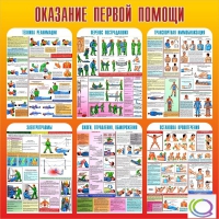 Стенд "Оказание первой помощи" - «globural.ru» - Тольятти