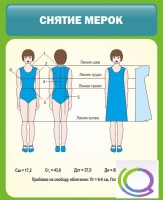 Стенд "Снятие мерок" (вариант 1) - «globural.ru» - Тольятти