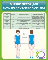 Стенд "Снятие мерок для конструирования фартука" - «globural.ru» - Тольятти