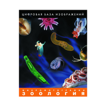 Зоология. Микрофотографии. (Цифровая база изображений) - «globural.ru» - Тольятти