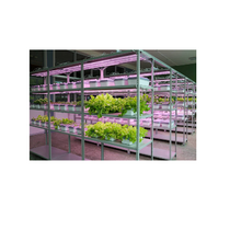 Обучающий комплект "АГРОкласс" - «globural.ru» - Тольятти