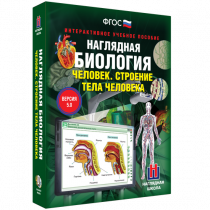 Наглядная биология. Человек. Строение тела человека - «globural.ru» - Тольятти