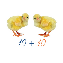 Счетный материал на магнитах "Цыплята". - «globural.ru» - Тольятти