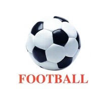 Карточки Домана "Sports equipment-1" ("Спортинвентарь-1") на английском языке - «globural.ru» - Тольятти