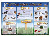 Стенд-уголок "Друзья наши меньшие" - «globural.ru» - Тольятти