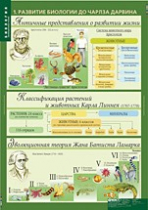 Биология 10-11 класс. Эволюционное учение (комплект таблиц) - «globural.ru» - Тольятти