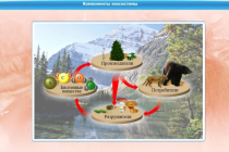 Интерактивные курсы. Биология 7 класс. Базовый - «globural.ru» - Тольятти