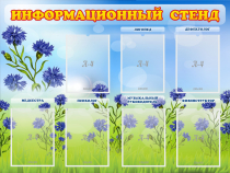 Стенд информационный с 7 карманами - «globural.ru» - Тольятти
