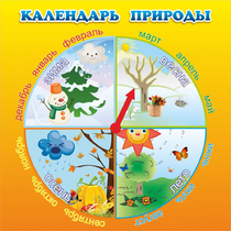 Стенд "Календарь природы" 0.5x0.5 - «globural.ru» - Тольятти