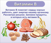 Стенд "Витамин В" - «globural.ru» - Тольятти