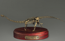 Модель скелета динозавра Diplodocus (вариант 1) - «globural.ru» - Тольятти