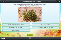Интерактивные курсы. Окружающий мир 3 класс. Базовый - «globural.ru» - Тольятти