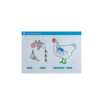 Стенд-планшет светодинамический "Изучение органов дыхания сельскохозяйственных животных" со сменными панелями - «globural.ru» - Тольятти