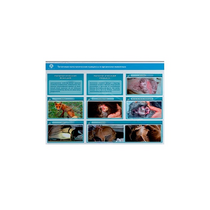 Стенд-планшет светодинамический "Изучение типических патологических процессов в организмах животных" - «globural.ru» - Тольятти