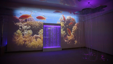 Проекционный дизайн "Виртуальная реальность" безлимитный комплект 1200 анимаций - «globural.ru» - Тольятти