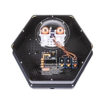 Модуль интерактивный с искусственным интеллектом "Наблюдатель" - «globural.ru» - Тольятти