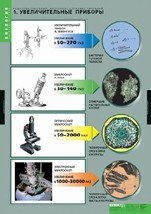Биология. Вещества растений, клеточное строение (комплект таблиц) - «globural.ru» - Тольятти