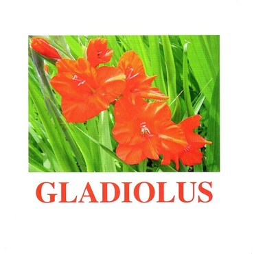 "Flowers-1" ("Цветы-1") английские карточки Домана - «globural.ru» - Тольятти