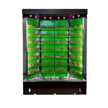 Вертикальная ферма "Моя Микрозелень" комплектация "Театро настольная" - «globural.ru» - Тольятти