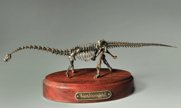 Модель скелета динозавра Diplodocus  (вариант 2) - «globural.ru» - Тольятти
