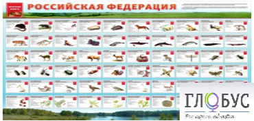 Стенд "Красная книга РФ" - «globural.ru» - Тольятти