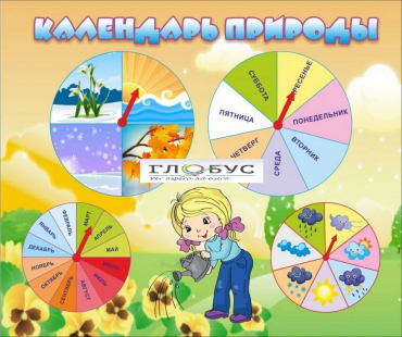 Стенд "Календарь природы" (вариант 1) - «globural.ru» - Тольятти