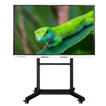 Интерактивный комплекс Geckotouch ​​​​​​​65RK - «globural.ru» - Тольятти