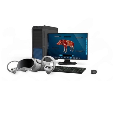 Интерактивный учебный комплекс «Анатомия Свиньи» - «globural.ru» - Тольятти