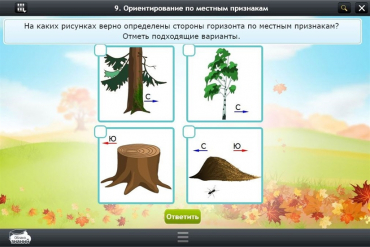 Интерактивные курсы. Окружающий мир 1 класс. Базовый - «globural.ru» - Тольятти