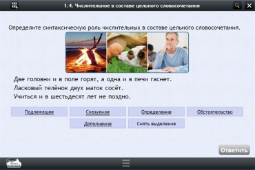 Интерактивные курсы. Русский язык 6 класс. Базовый - «globural.ru» - Тольятти