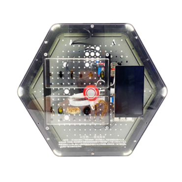 Модуль интерактивный с искусственным интеллектом "Интеллектуальная биология" - «globural.ru» - Тольятти