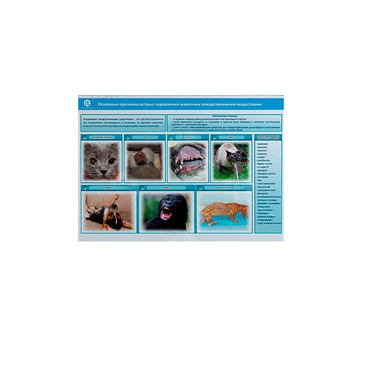 Стенд-планшет светодинамический «Острые отравления животных лекарственными препаратами» - «globural.ru» - Тольятти