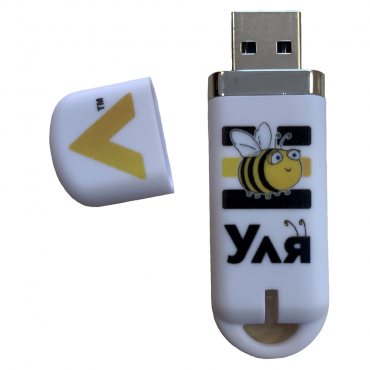 Методическое пособие для работы с комплектом мини-роботов "Bee-Bot"  - «globural.ru» - Тольятти